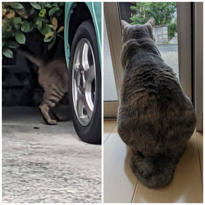 0e65ad89 1e0b 4937 8d7d 6409d8a152c4 1689224585342