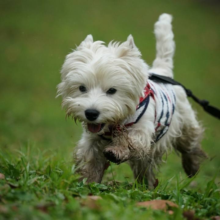 0e65f3c7 6019 4950 9f38 63f0560a3107 1524557159563