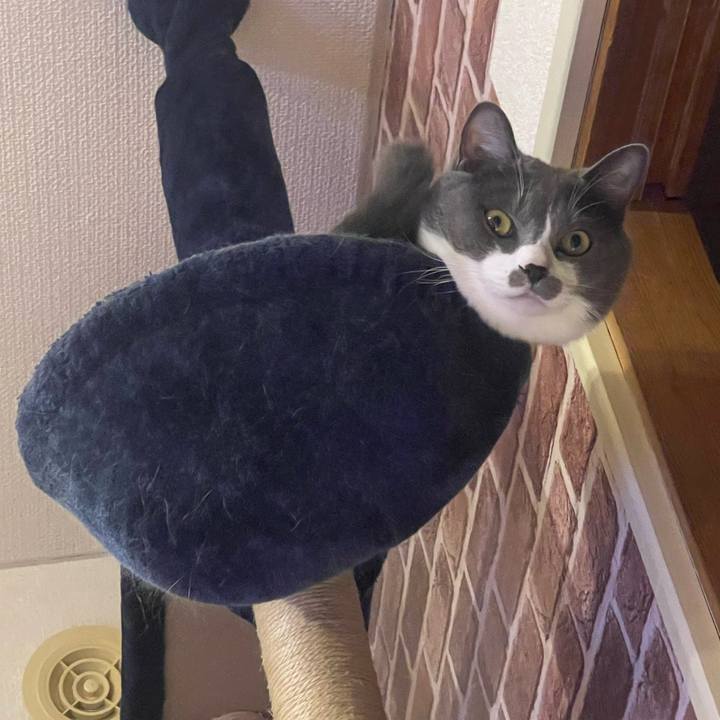 0e66114f c9b1 4c0f b42f 9065367b0c79 1664010761180