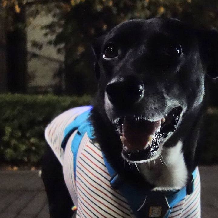 0e664bb7 6945 4b7a 935f 90e52b44fe58 1670151997167