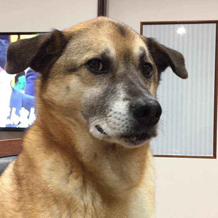 0e6650b6 533c 4455 8cb1 a495056a4a50 1521802093293