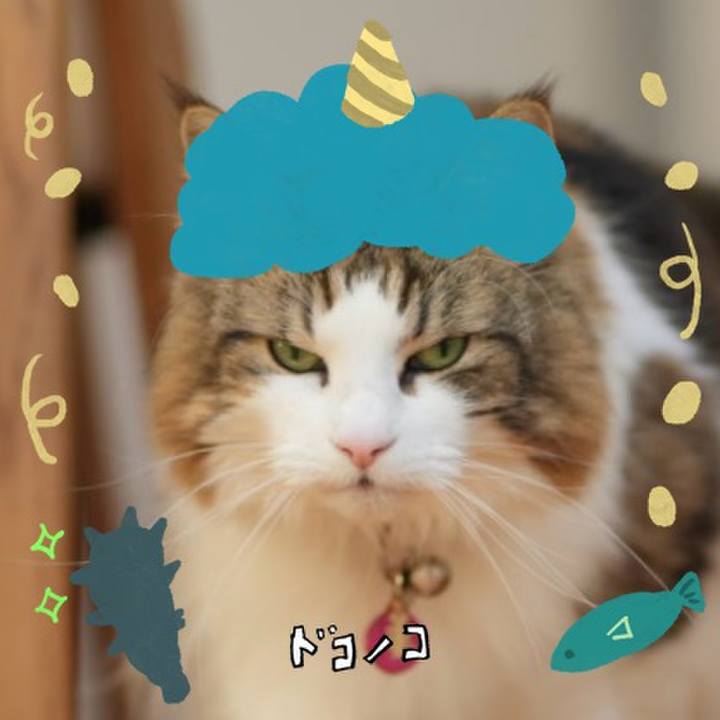 0e665586 143d 4603 a4dd f69534d4810c 1706960184282