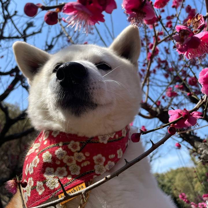 0e66590f 76ee 462d 96c2 b7164f0e8cb5 1676193619040