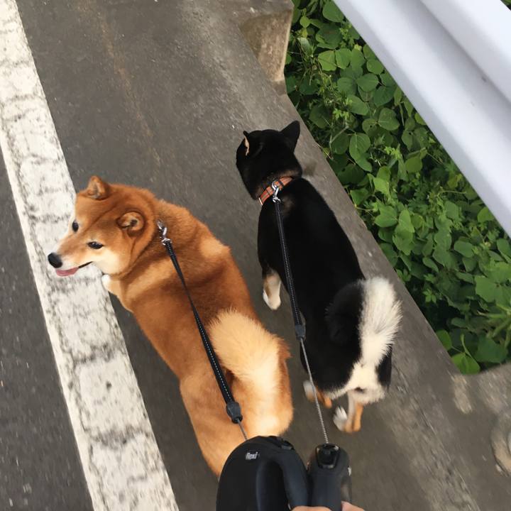 0e665940 9a1d 4c03 ba3e 6c93ea5de672 1562452646845