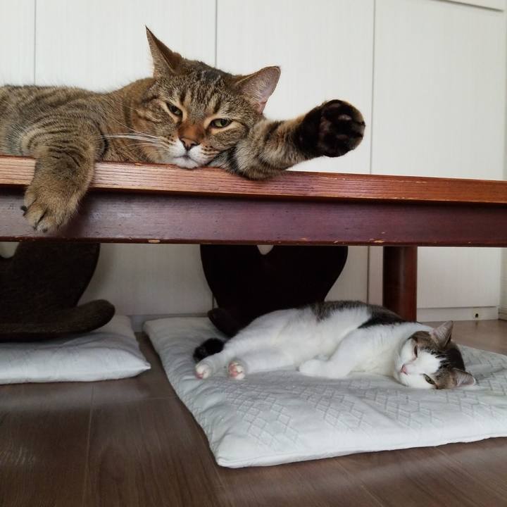 0e665a6d 7d63 4846 867a 0a905c1e8b78 1570398477169