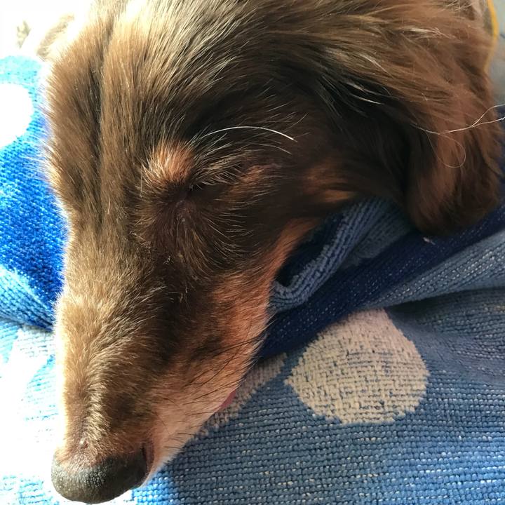 0e6694e9 9422 4466 847c 320433096b81 1522718154101