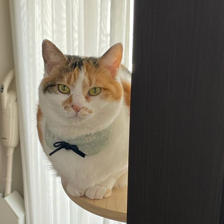 0e67077b 2887 48c4 ad20 9043830ef4a1 1681688097802