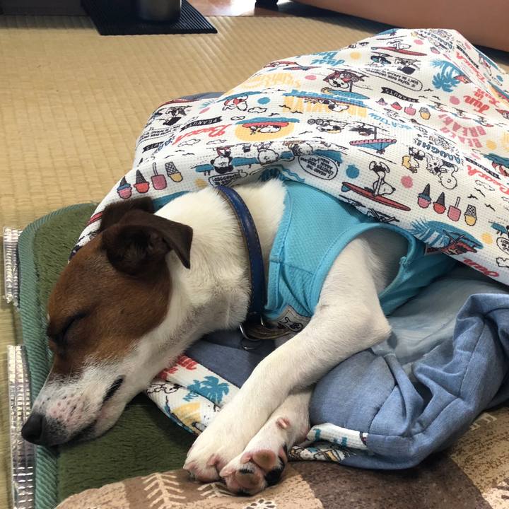 0e67157b c380 46cf bcd9 5497d1b2d643 1531873455736