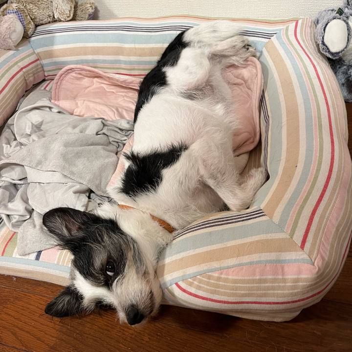 0e671be7 0de3 42b3 bfb7 f0c024c67b7d 1696284135334