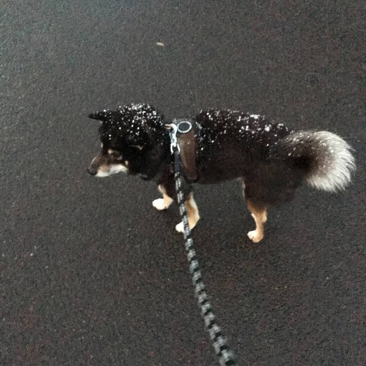 0e67435f 1680 4813 a2fc f8cf5f0a0655 1510739256057