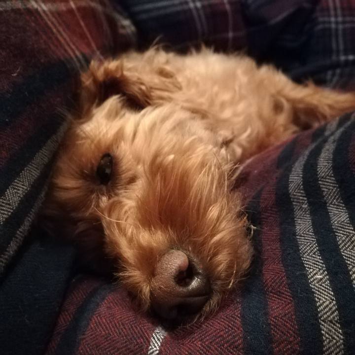 0e6785af 1172 4d2d 9163 f98e919d0b34 1557922192729