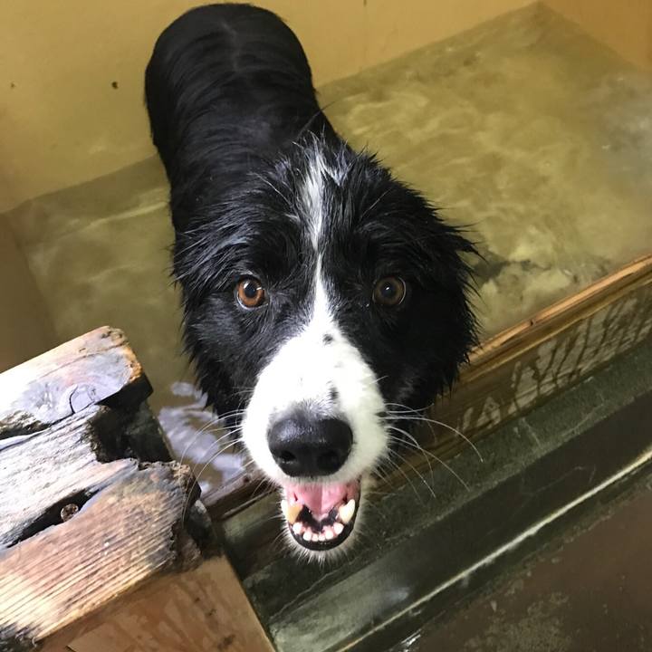 0e67ccb2 e627 434d a654 626c3ed10091 1525677150184