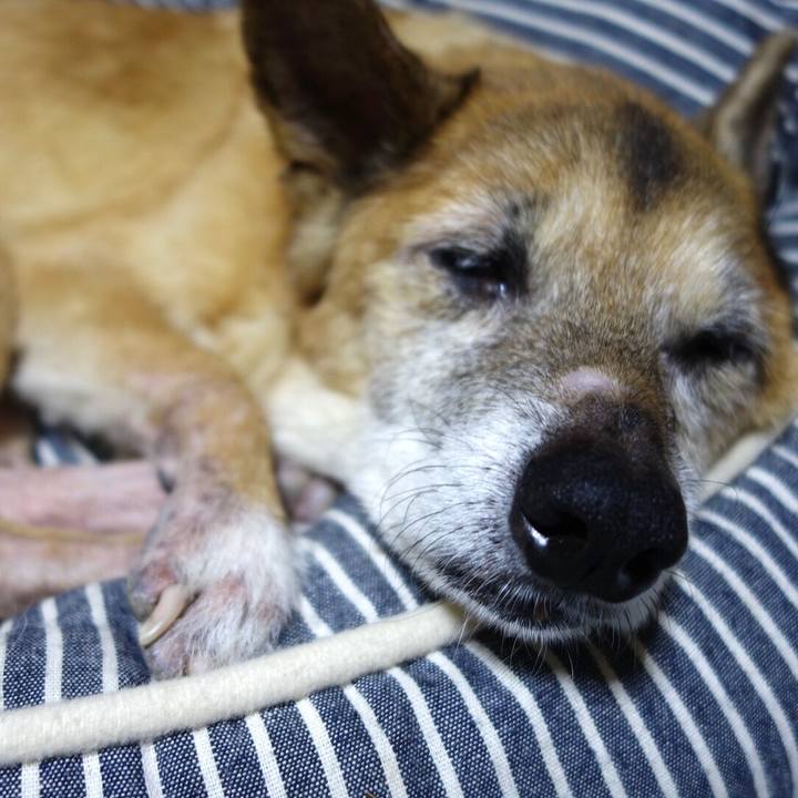 0e67d515 d8a4 4a37 8e0d ea5580cf2b7c 1567606363646