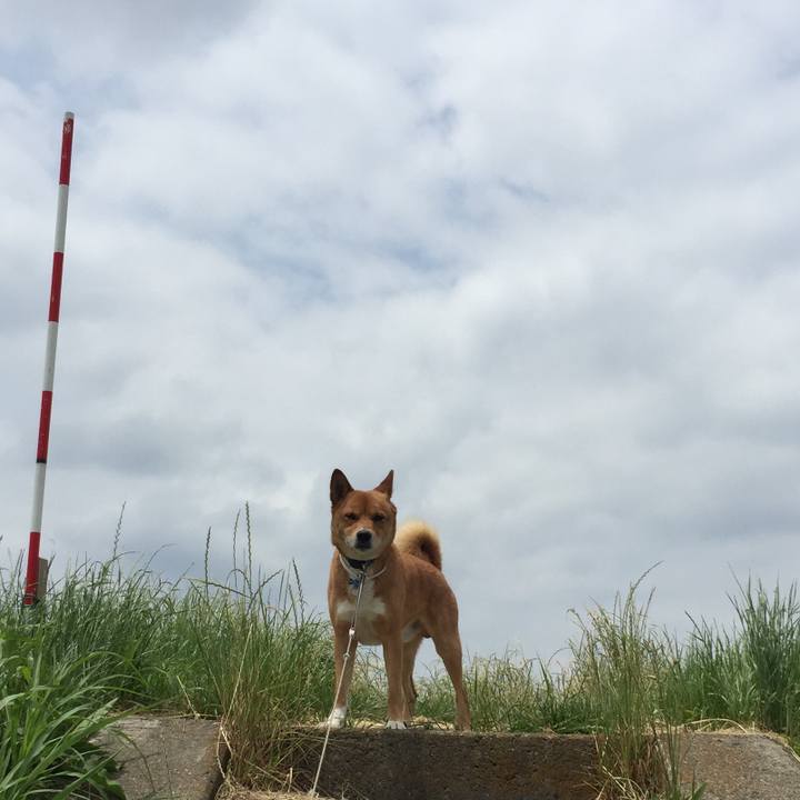 0e67dcdf 3ecc 476d be56 a4fe1ee28564 1570140438312