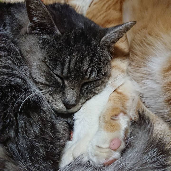 0e6852a1 ac36 47d7 aa54 5cf83d13b087 1578229902598