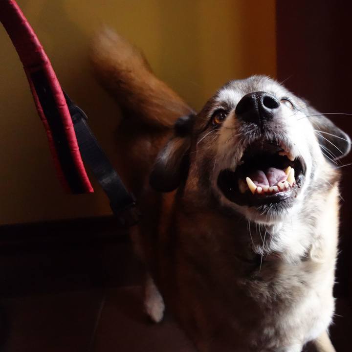 0e686ede c3ce 4d39 92c3 a7a003600815 1557624251756