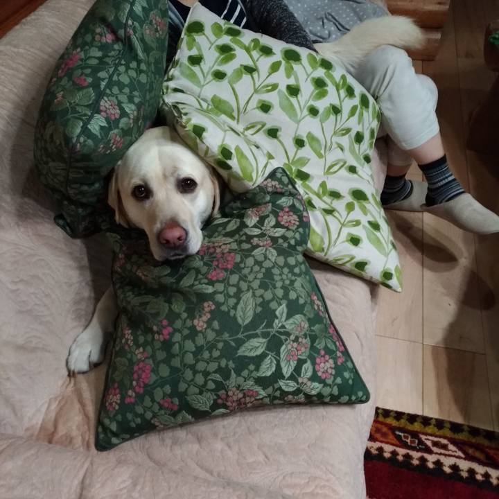 0e68b11e e99c 4a5b 9341 7c55a62db961 1555979574529