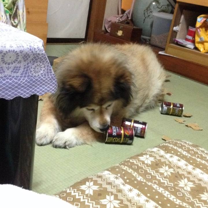 0e690d81 9bdd 427b ac01 a47c13aec78b 1637213580335