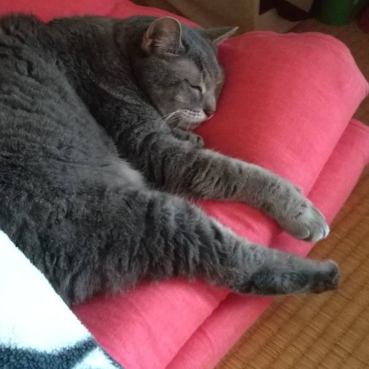 0e69259b 2136 4b6f 95a9 46949a909f02 1634192379024