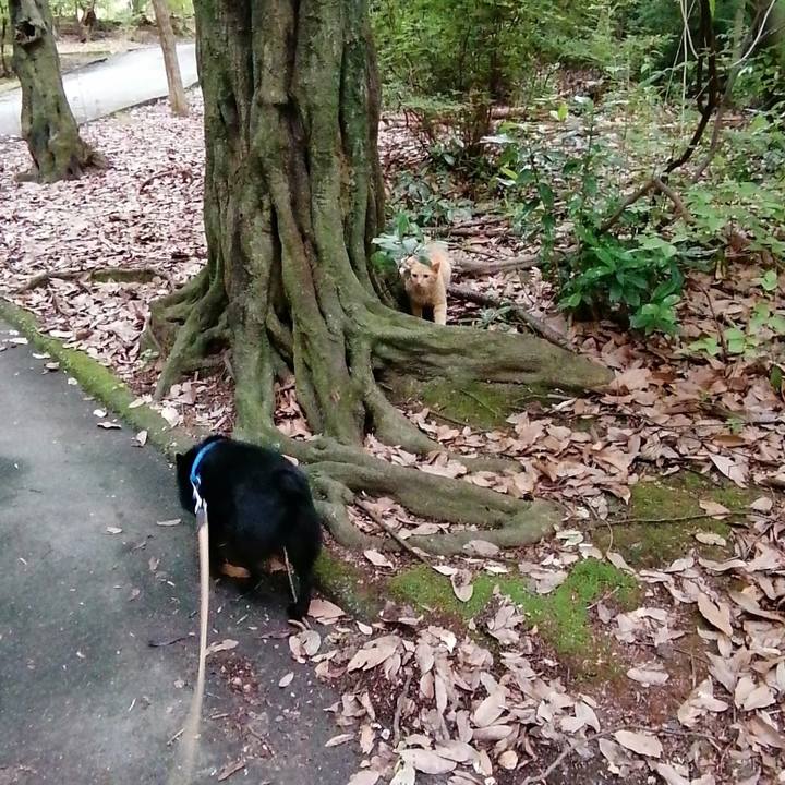 0e69369c ef3f 49ea b1eb d993259576c5 1624482248310