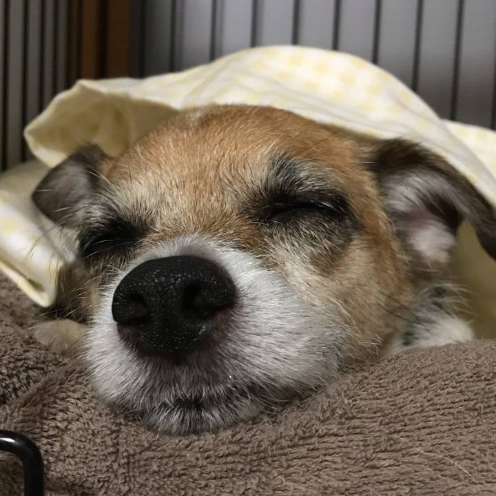 0e694bb9 fa22 421a 92f1 36560b3ec8c3 1569848466428