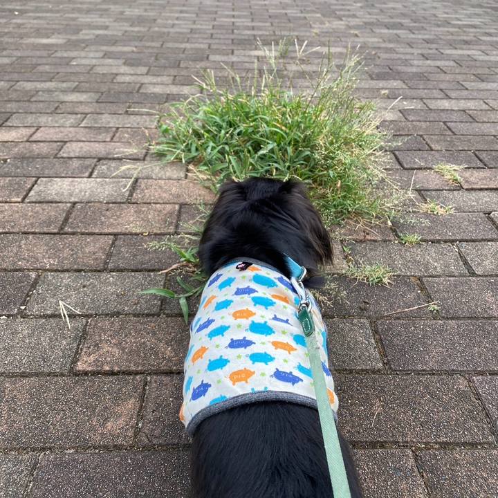 0e695f83 92aa 442f bad8 7dc24bf3b132 1723158876395