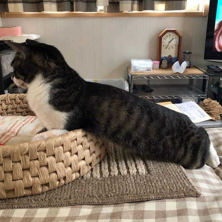 0e696712 61ef 4b91 8420 dd2cbea036ab 1531324384868