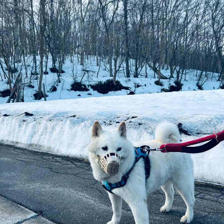 0e697fcb 7c78 4a16 89ce b19cc10d2d52 1773873362647