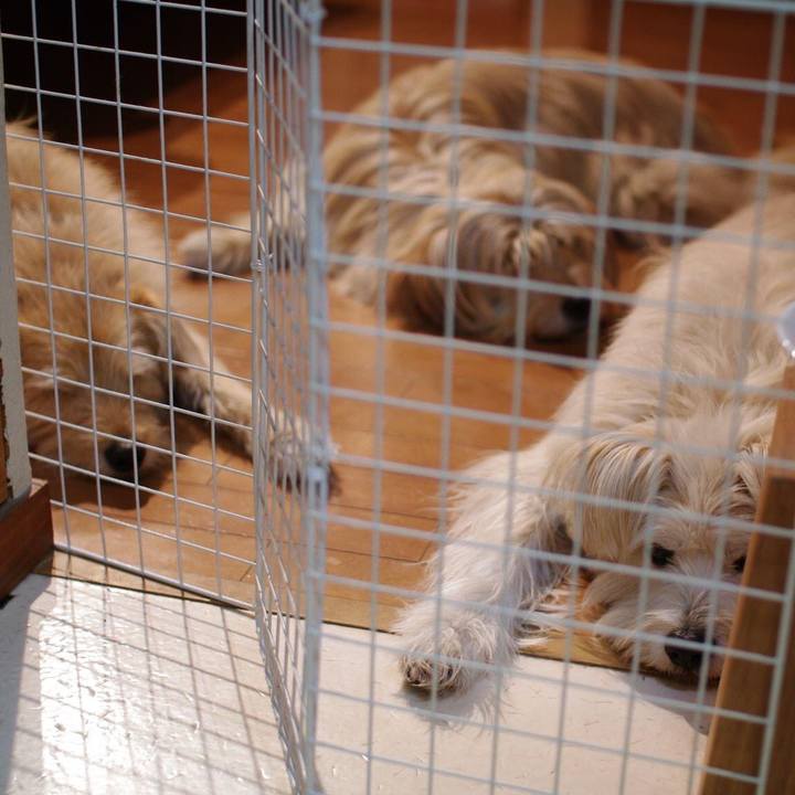 0e69c6b1 9950 45be 910b 2950863ee61c 1602025280948