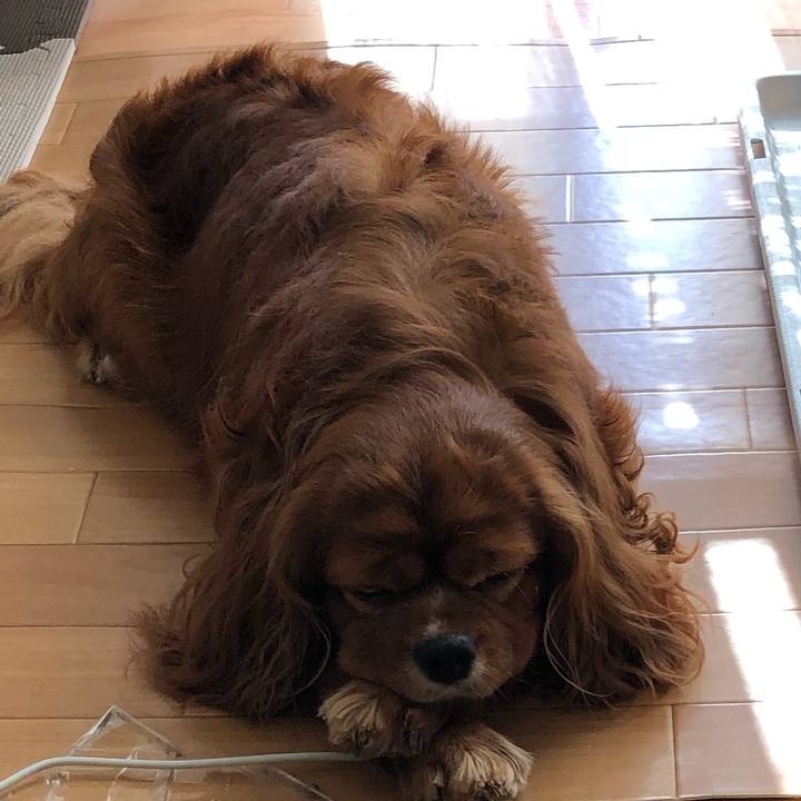 0e69c860 2092 4c05 85de 043ade7595ec 1633740419457