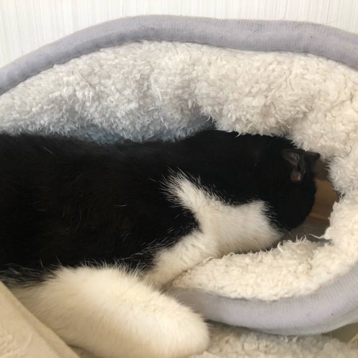 0e69e640 ab2c 4391 9eae 6705b18ea18c 1586928315340