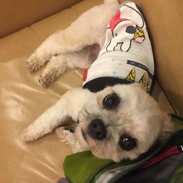 0e6a0811 018a 499b b70c 3b0c27a3c003 1533986832661