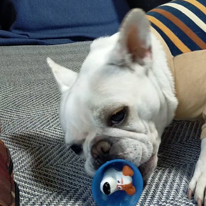 0e6a1583 7add 4caa 9aec ce704b676066 1669419176597