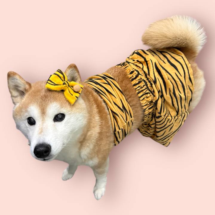 0e6a1d6e 9884 4cfa 98d2 2814d1dc1ad4 1770264695275