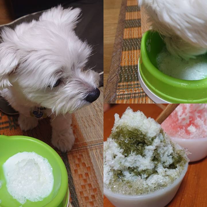 0e6a2962 e44b 4551 856c 51e4b605b5b9 1531482580619