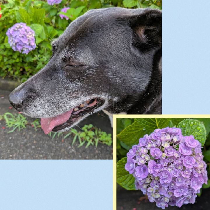 0e6a4a20 ddc3 40d8 8ac0 9059fa590d45 1748993809755