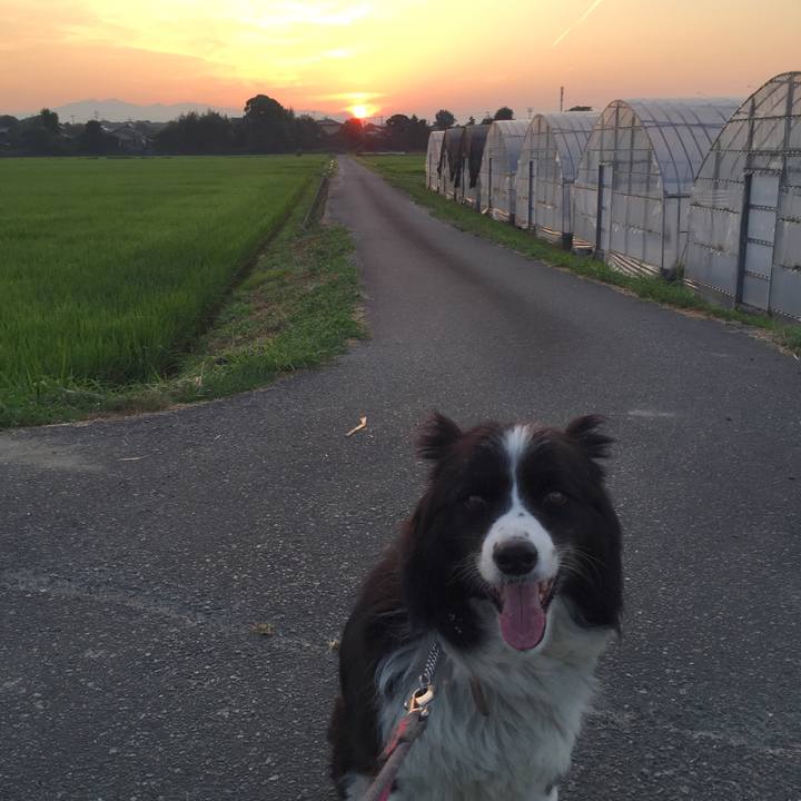 0e6abaaa 2d78 4534 85ec 1867c81fcc13 1533935378761