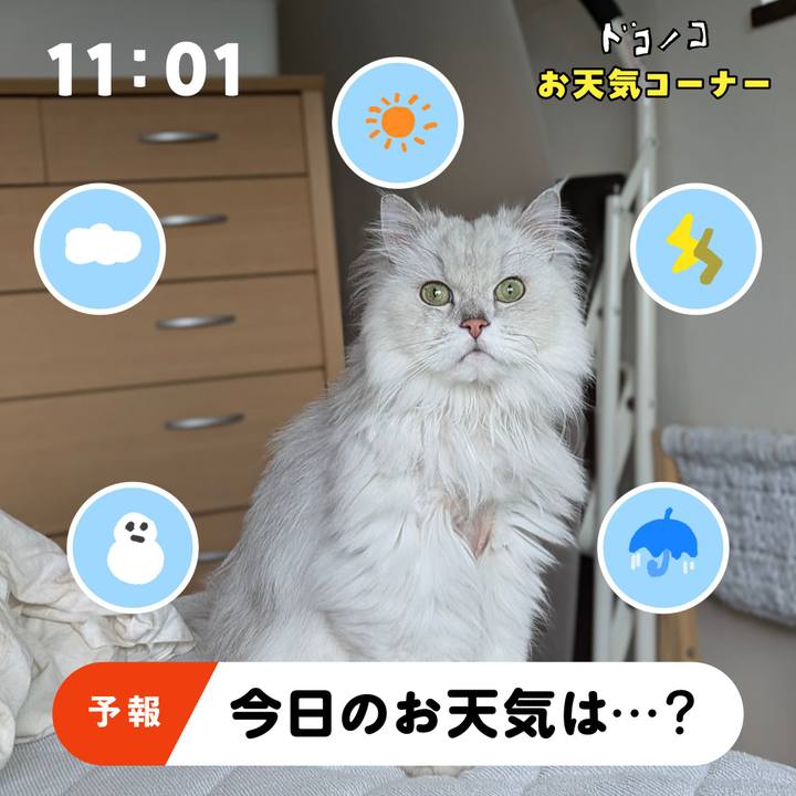 0e6ac55b 570f 422f 9fcb b866879c2b97 1781522934652