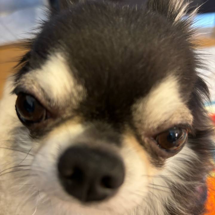 0e6adf6e b35c 43eb 9a56 7a941000b220 1722785415477