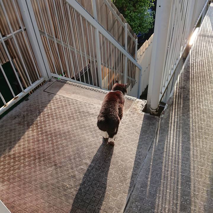 0e6af9aa 3658 4d8f 8fdd 4cac0ed790c9 1650324321061