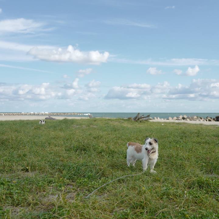 0e6aff87 3732 4cf4 aef2 d1f24bc1bb9c 1568260905748