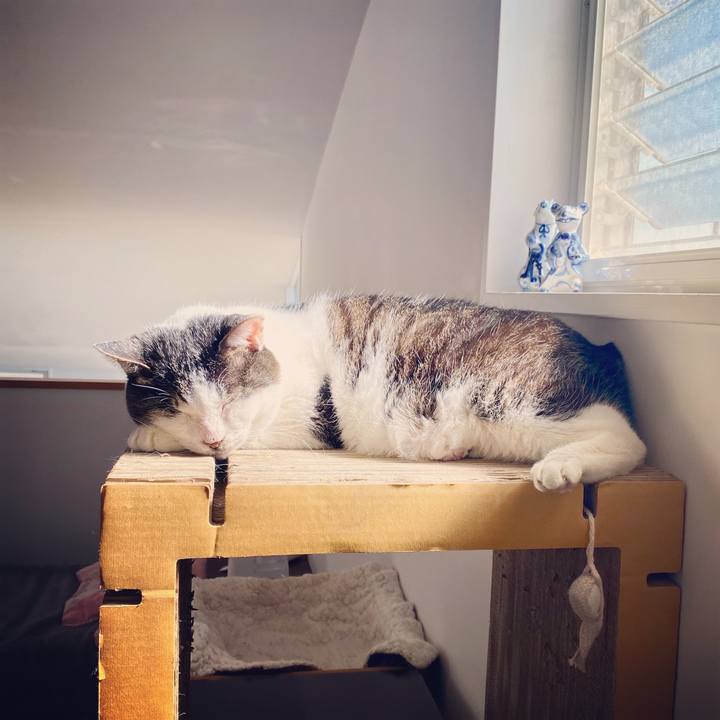 0e6b3fbe 0eae 4897 b9bc 66ac8621a703 1582255491516