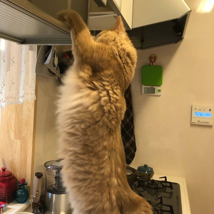 0e6b508f a093 4151 8a69 31676ab82d73 1623717721910