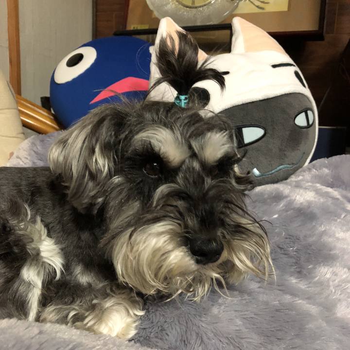 0e6b617a 6ddd 4d54 846c 1198b2c0b8db 1525180444121