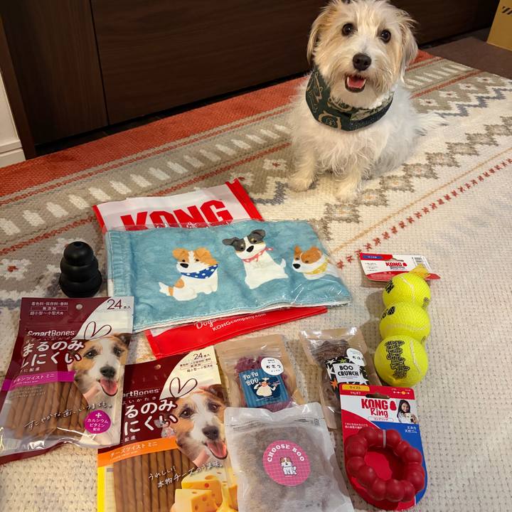 0e6b7cf6 ae87 4613 84a0 df28fe3b579a 1765025827120