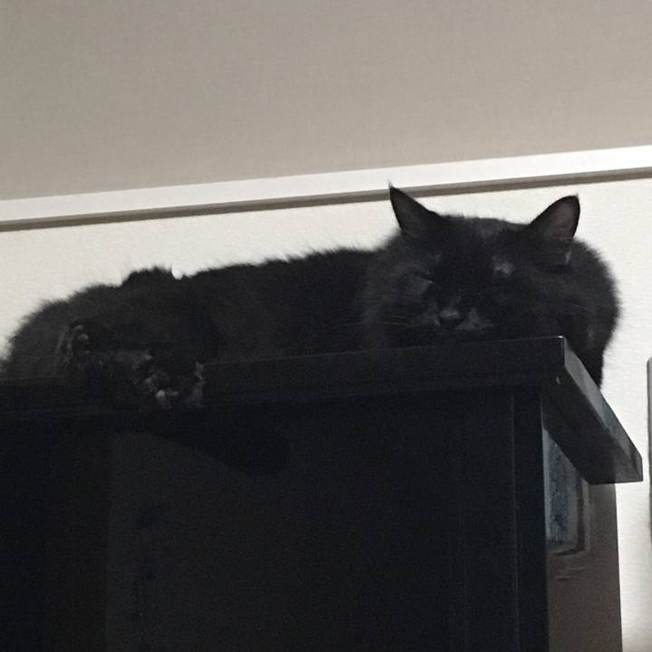 0e6bec61 2b82 4026 9e82 86570e9e7623 1568206707839