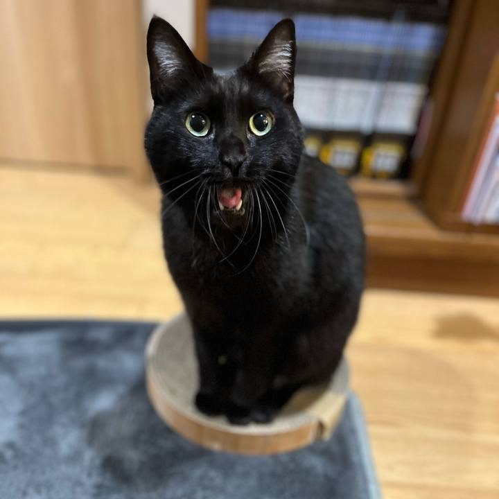 0e6bef27 21b0 4be0 9fbe 8125a7d9c385 1673263820225