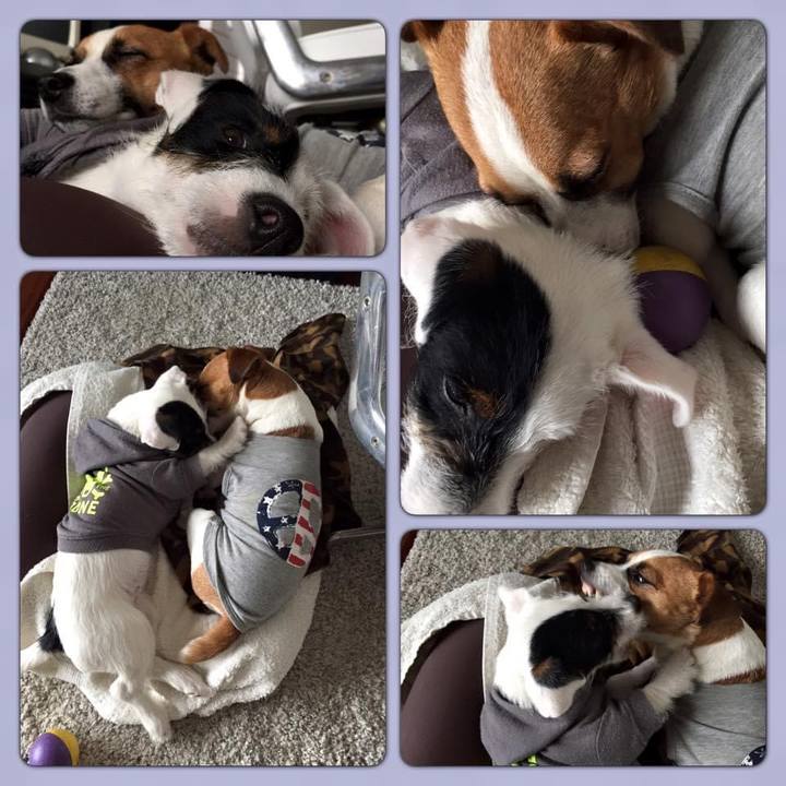 0e6c073a ffce 47d8 94fb c115d1718a98 1679234879762