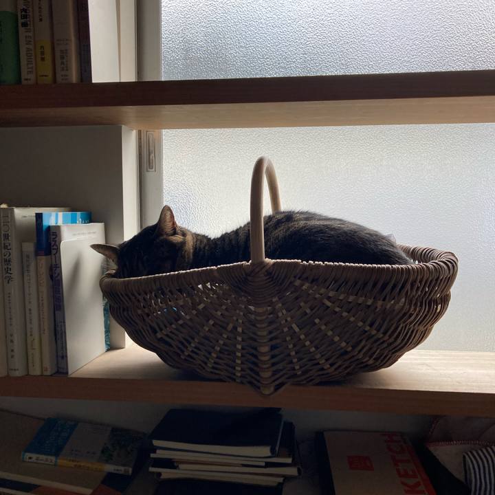 0e6c1390 f9ba 4f00 a24b af1ef96c4572 1672640633398