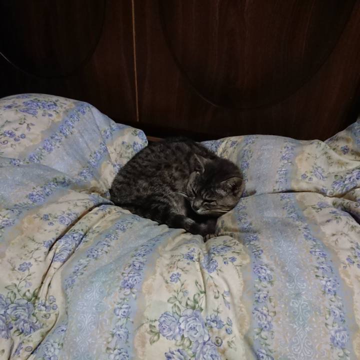 0e6c42f4 6856 4499 98fd 5650b25a7143 1590064011492